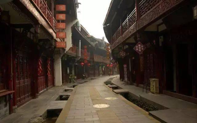 解锁知识的新视角,畅聊尸油是什么